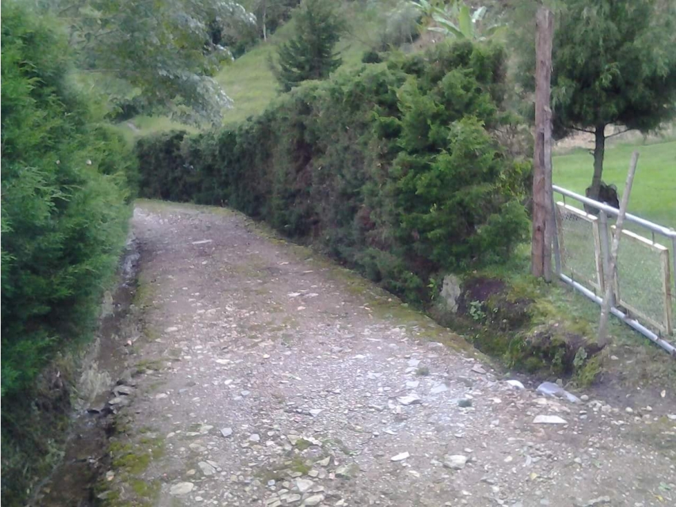 LOTE EN VENTA - VALLE DEL COCORA - SALENTO - 5