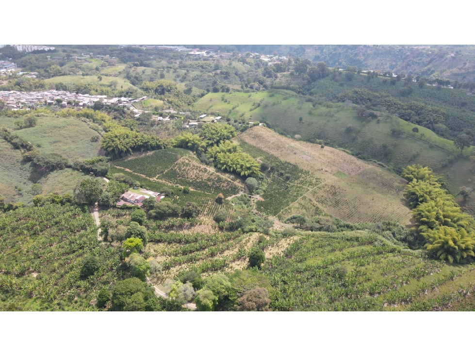 VENTA DE FINCA CAFETERA EN ARMENIA, QUINDIO, COLOMBIA - 4