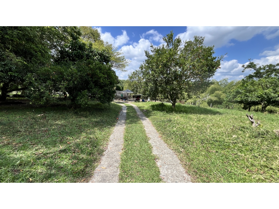 VENTA DE FINCA EN CALARCÁ, QUINDÍO, COLOMBIA - 3