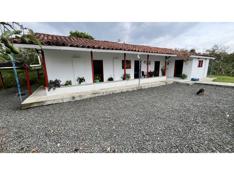 VENTA DE FINCA EN ALCALÁ, VALLE, COLOMBIA - 3