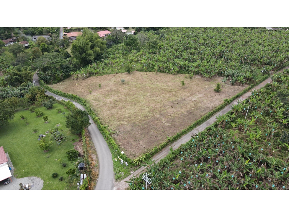 VENTA DE ESPECTACULARES LOTES EN ARMENIA, QUINDÍO, COLOMBIA — foto 2