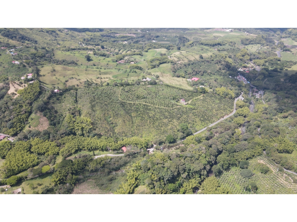 VENTA DE FINCA EN BUENAVISTA, QUINDÍO, COLOMBIA - 2
