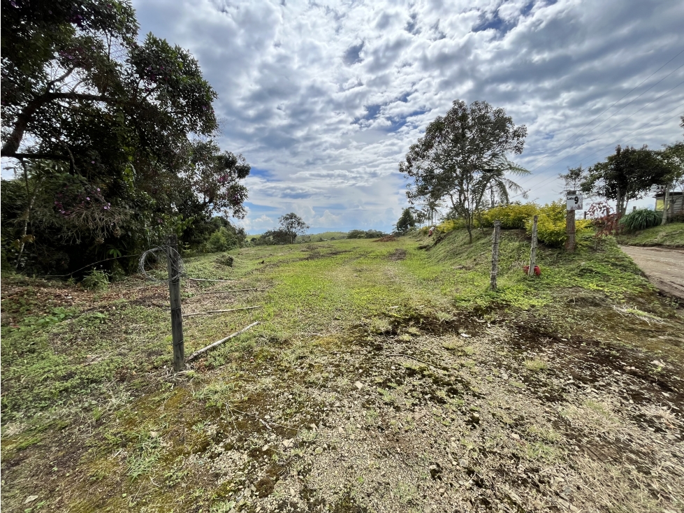 VENTA DE LOTE CAMPESTRE EN FILANDIA, QUINDIO, COLOMBIA - 3