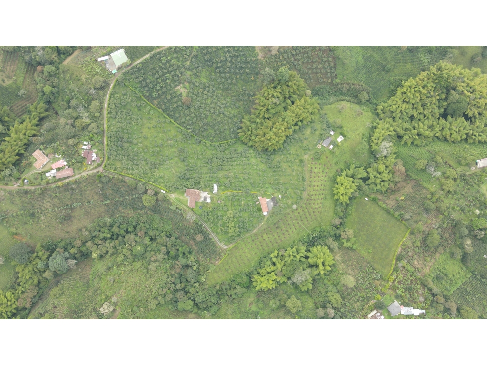 VENTA DE FINCA EN ALCALÁ, VALLE, COLOMBIA - 2