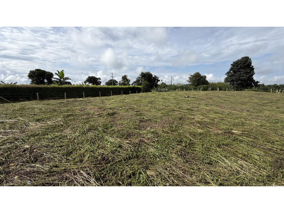 VENTA DE LOTE EN QUIMBAYA, QUINDÍO, COLOMBIA - 5