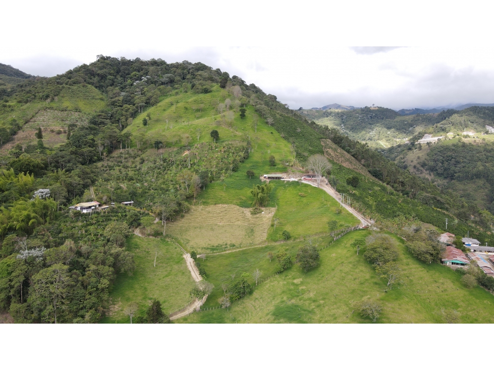 VENTA DE FINCA EN CALARCÁ, QUINDÍO, COLOMBIA - 2