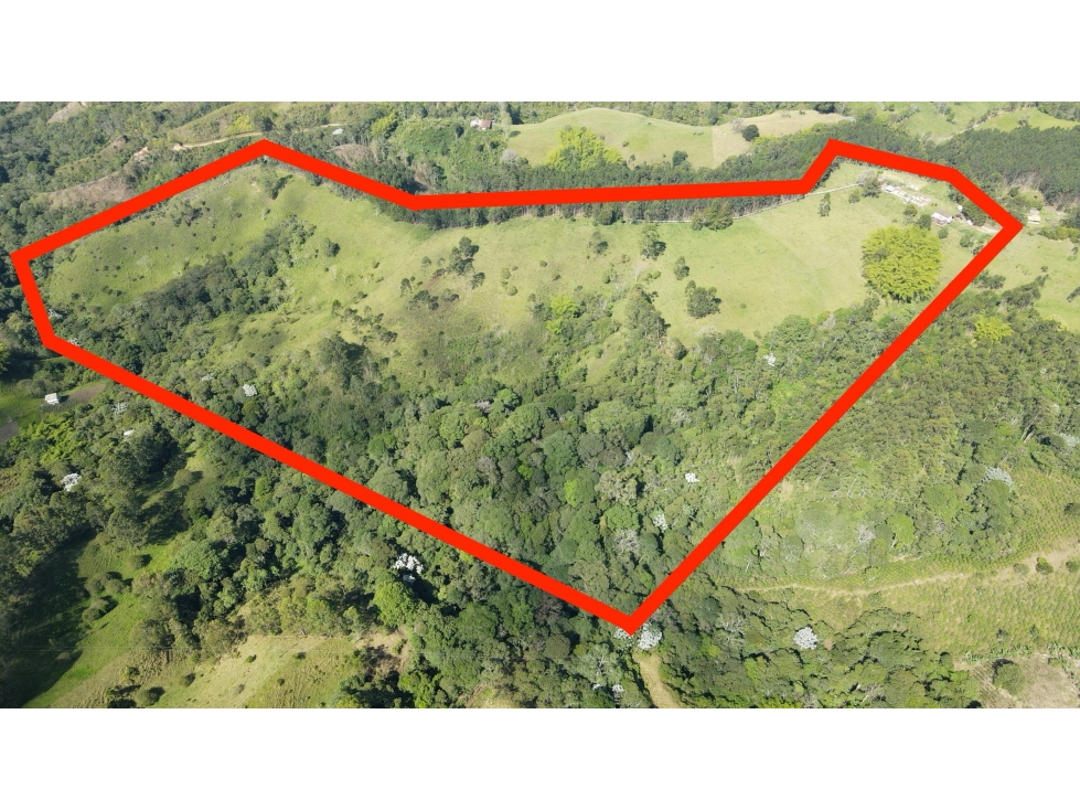VENTA DE FINCA EN SALENTO, QUINDÍO, COLOMBIA - 3