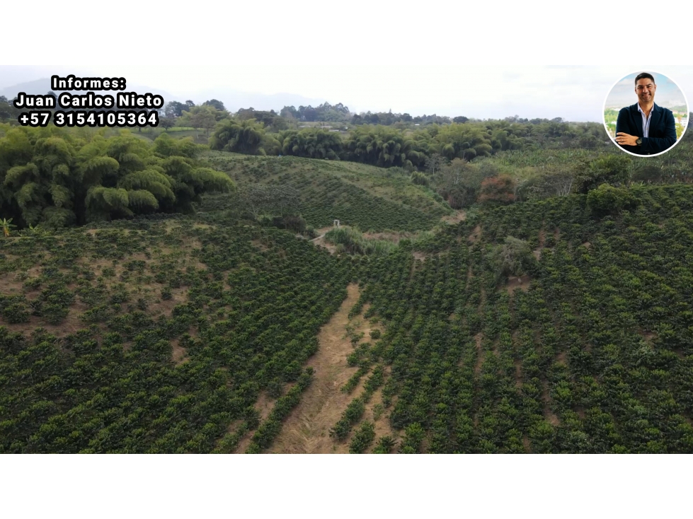 VENTA DE FINCA CAFETERA EN ARMENIA, QUINDIO, COLOMBIA - 5