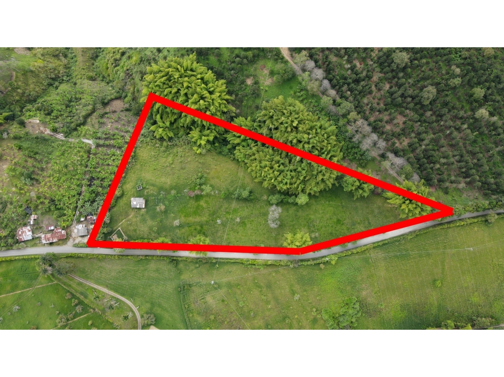 VENTA DE LOTE CAMPESTRE EN CALARCÁ, QUINDÍO, COLOMBIA - 3