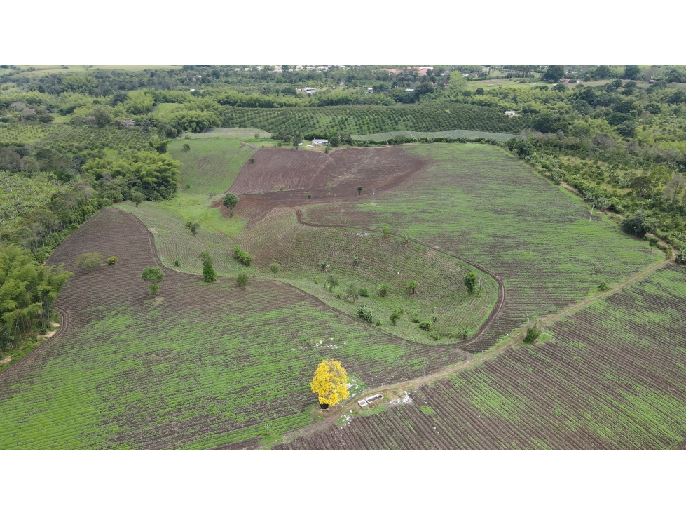 VENTA DE FINCA EN TEBAIDA, QUINDÍO, COLOMBIA - 2