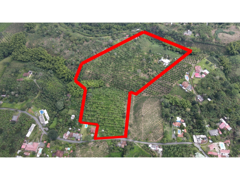 VENTA DE FINCA EN QUIMBAYA, QUINDÍO, COLOMBIA - 2