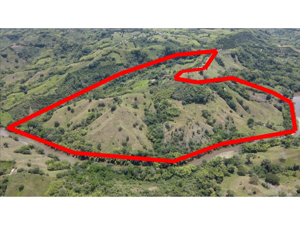 VENTA DE FINCA GANADERA EN QUIMBAYA, QUINDÍO, COLOMBIA - 3
