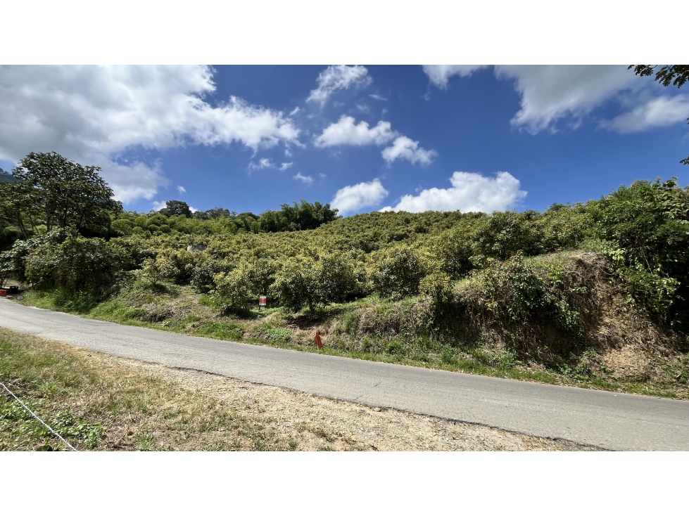 VENTA DE FINCA EN PIJAO, QUINDÍO, COLOMBIA - 3