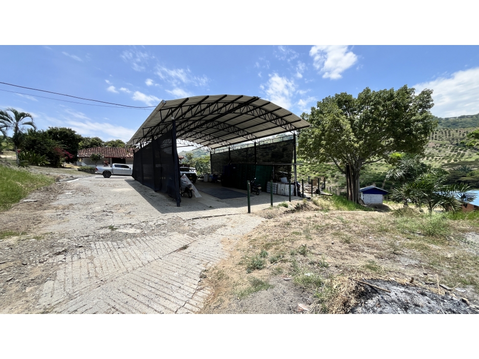 VENTA DE FINCA EN CARTAGO, VALLE, COLOMBIA - 6