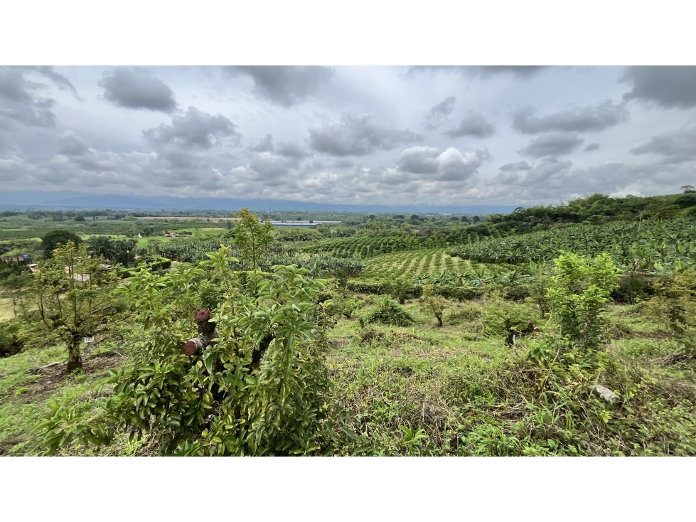 VENTA DE HERMOSO LOTE EN MONTENEGRO, QUINDÍO, COLOMBIA - 1