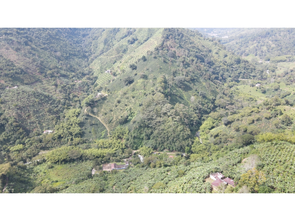 VENTA DE FINCA EN PIJAO, QUINDÍO, COLOMBIA - 2