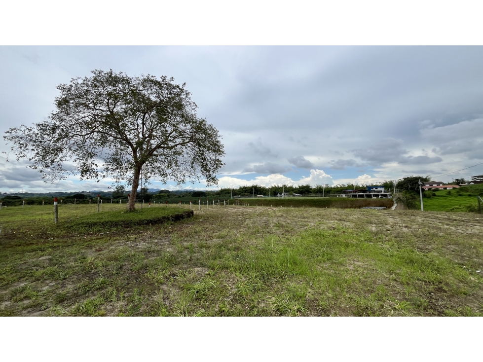 VENTA DE LOTES EN ARMENIA, QUINDÍO, COLOMBIA — foto 3