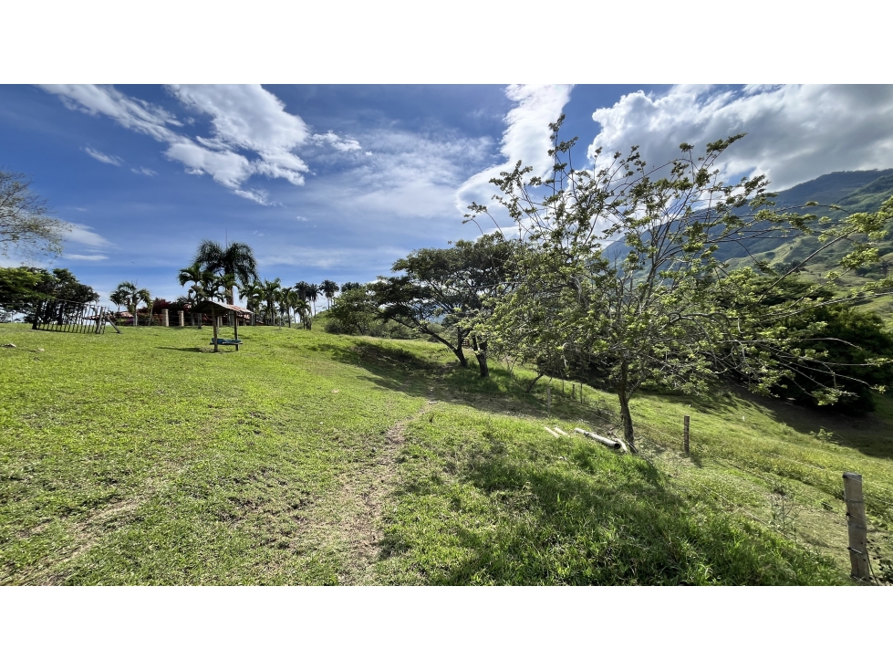 VENTA DE FINCA GANADERA EN OBANDO, VALLE, COLOMBIA - 6