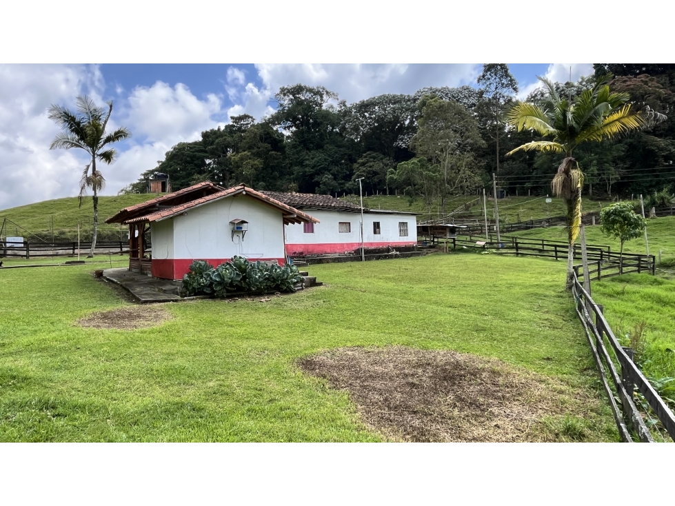 VENTA DE FINCA EN CIRCASIA, QUINDÍO, COLOMBIA — foto 3