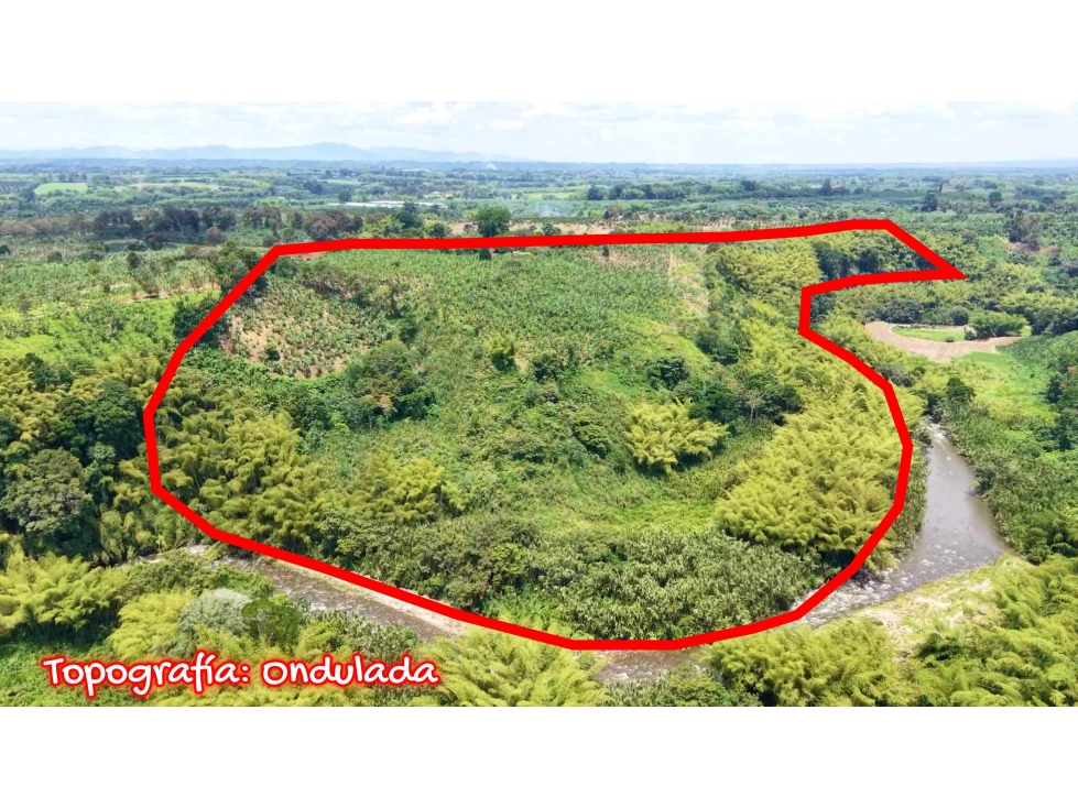 VENTA DE FINCA EN ARMENIA, QUINDÍO, COLOMBIA — foto 2