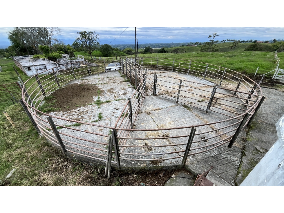 VENTA DE FINCA EN CIRCASIA, QUINDÍO, COLOMBIA — foto 2