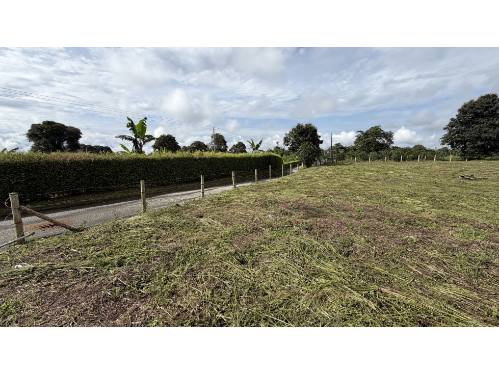 VENTA DE LOTE EN QUIMBAYA, QUINDÍO, COLOMBIA - 6