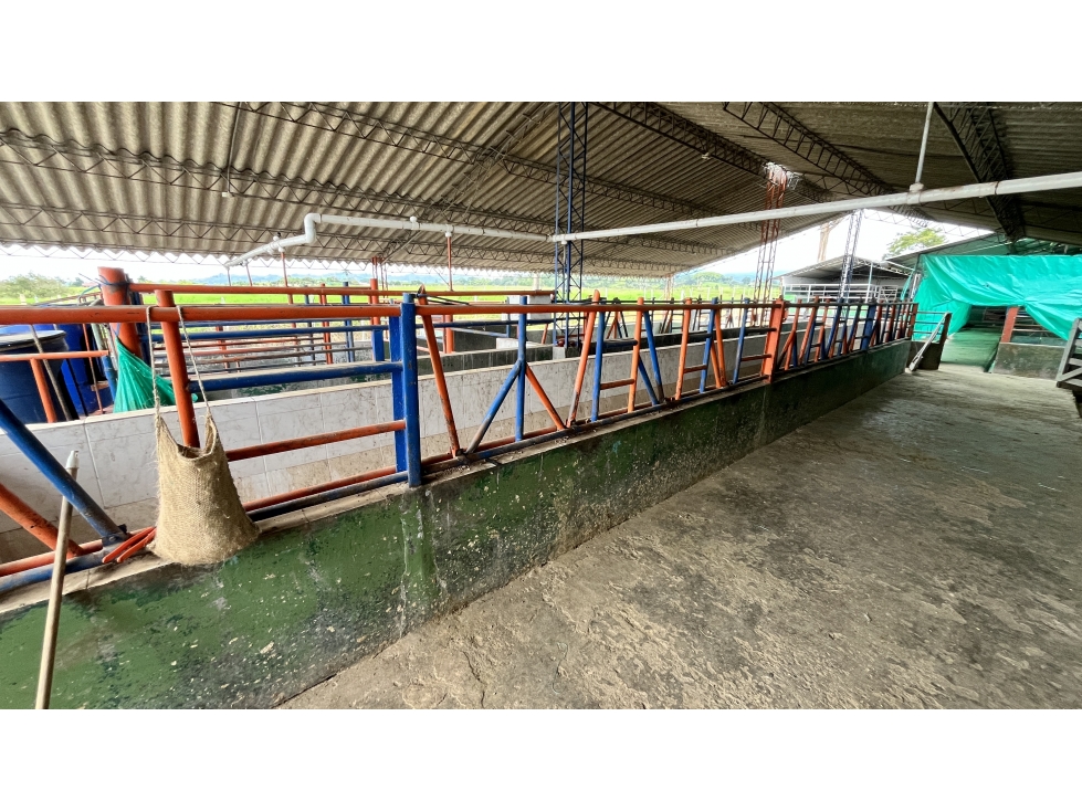 VENTA DE FINCA EN CIRCASIA, QUINDÍO, COLOMBIA — foto 6