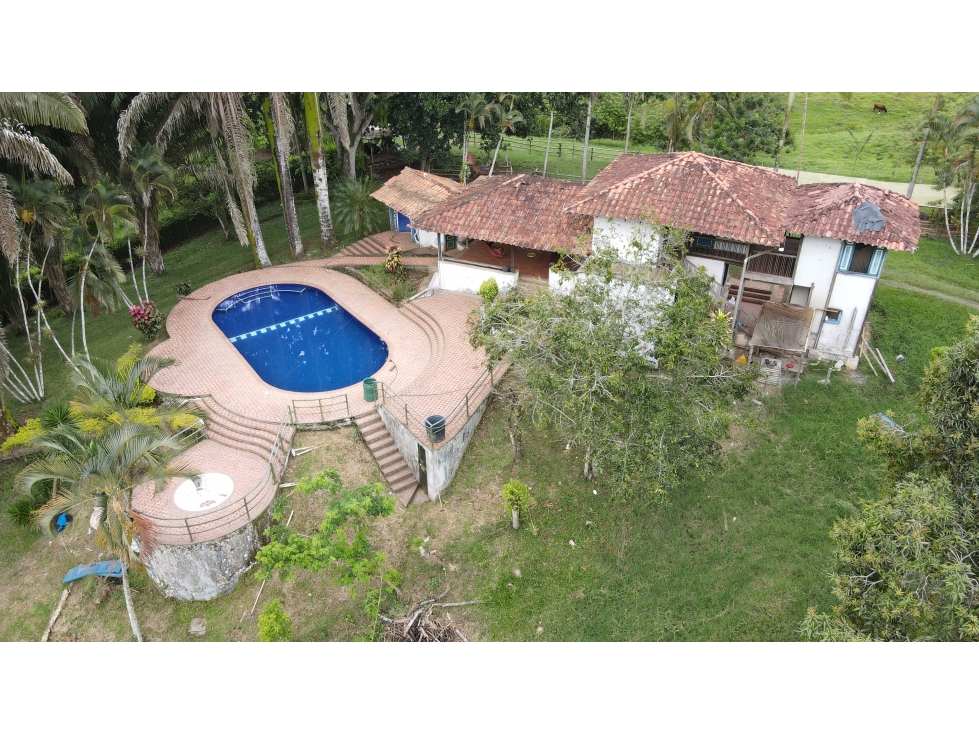 VENTA DE FINCA GANADERA EN QUIMBAYA, QUINDÍO, COLOMBIA - 2