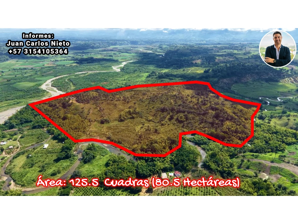 VENTA DE FINCA EN CAICEDONIA, VALLE, COLOMBIA - 2