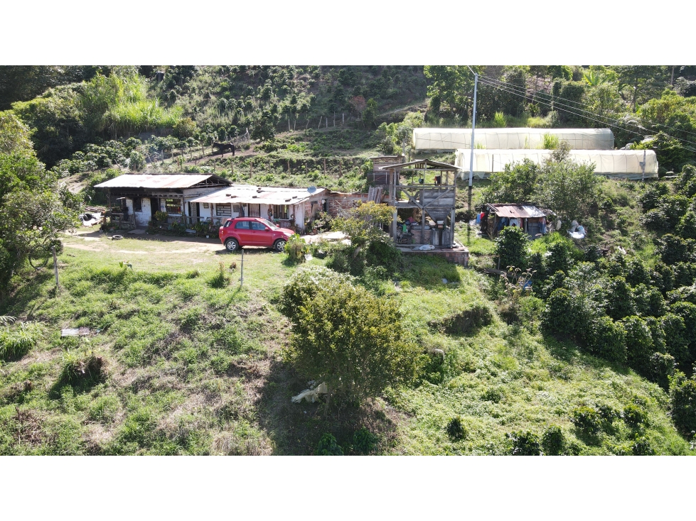 VENTA DE FINCA EN SALENTO, QUINDÍO, COLOMBIA - 4