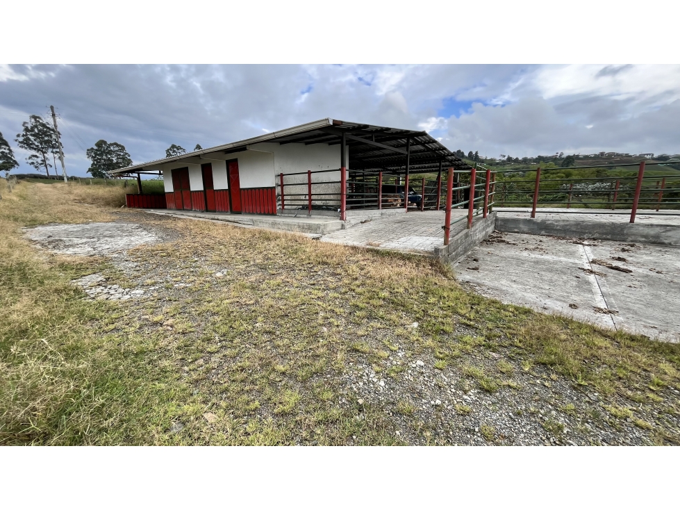 VENTA DE FINCA EN FILANDIA, QUINDÍO, COLOMBIA - 4