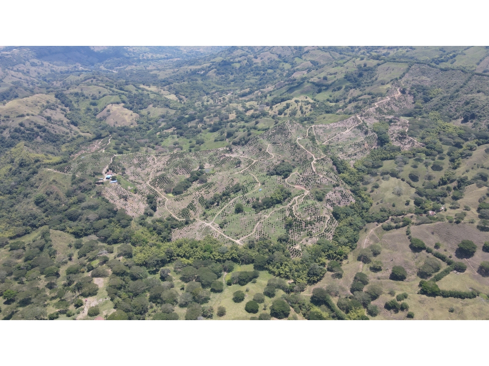 VENTA DE FINCA EN CARTAGO, VALLE, COLOMBIA - 3