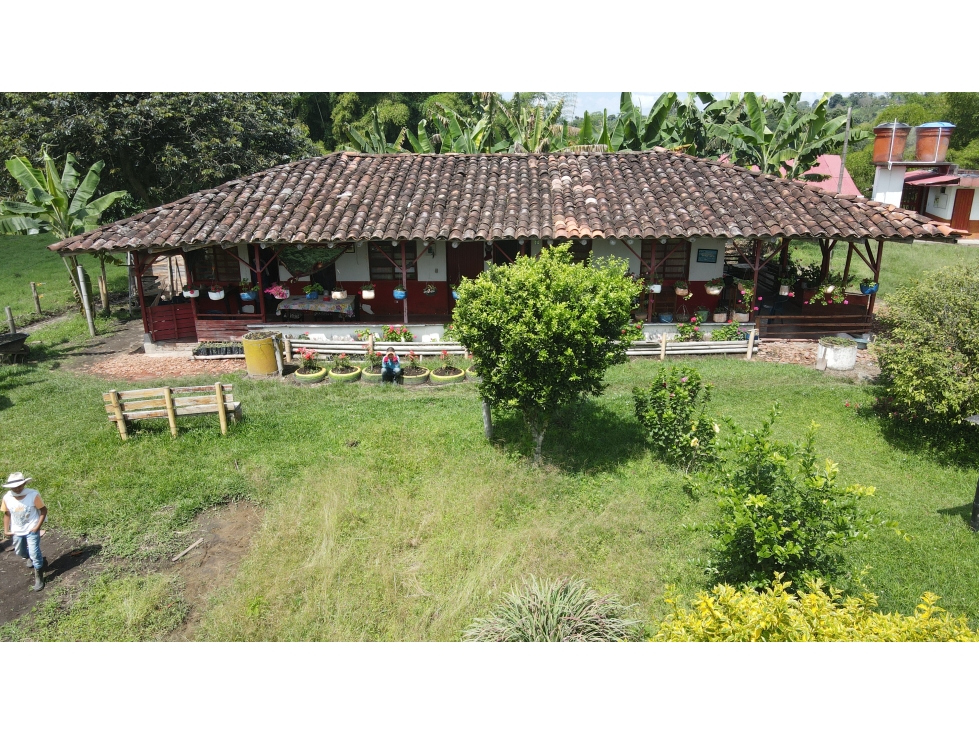 VENTA DE FINCA EN CIRCASIA, QUINDÍO, COLOMBIA