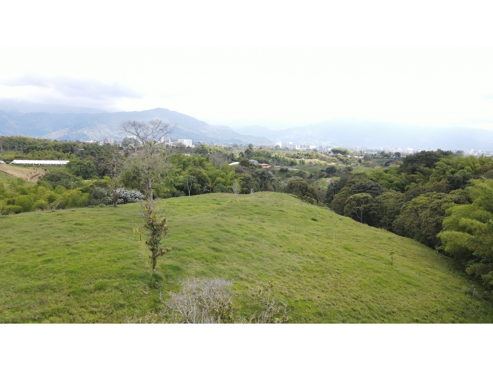 VENTA DE LOTE, CIRCASIA, QUINDIO, COLOMBIA. - 6