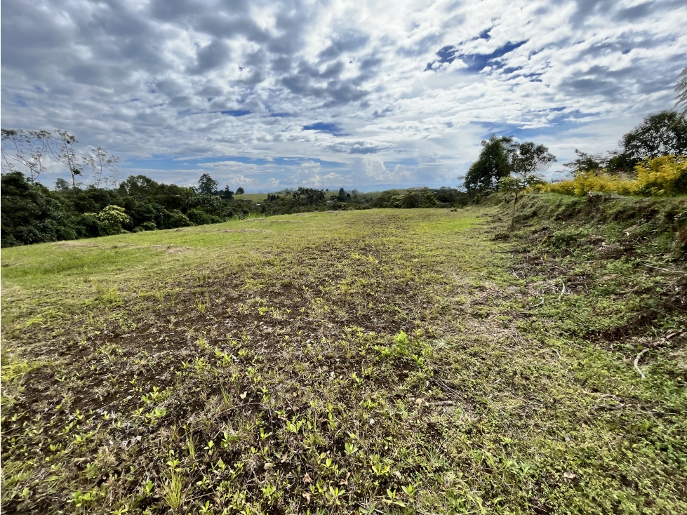 VENTA DE LOTE CAMPESTRE EN FILANDIA, QUINDIO, COLOMBIA - 4