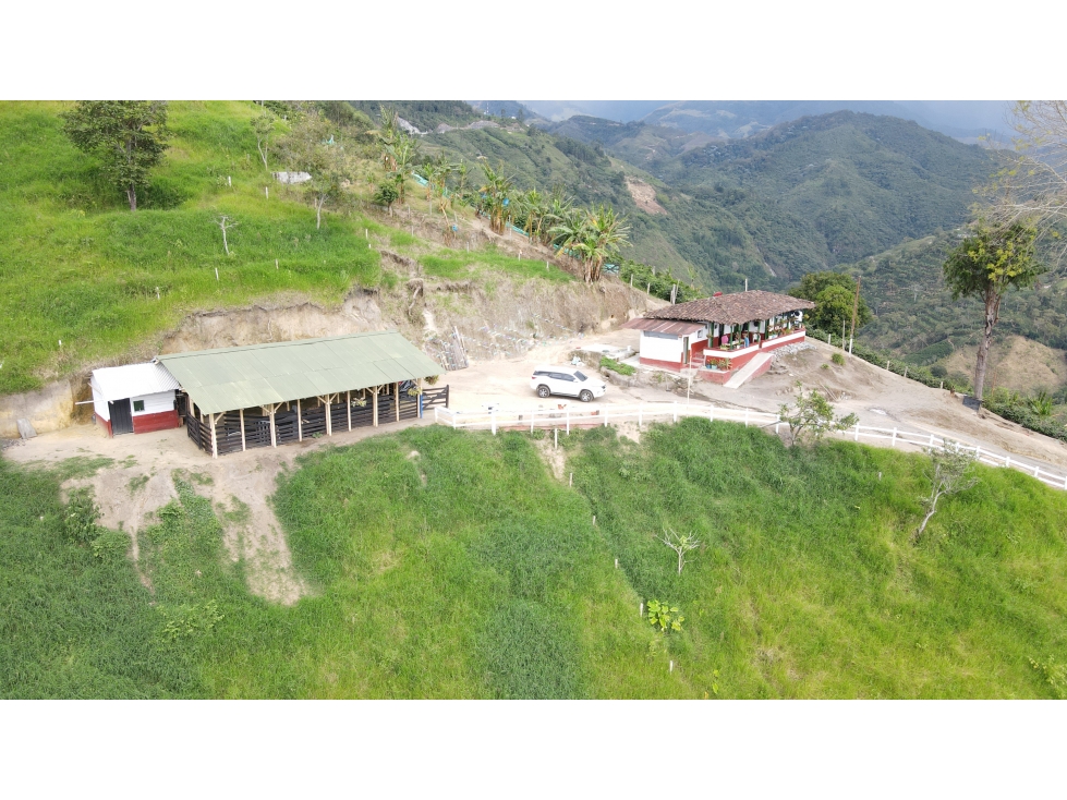 VENTA DE FINCA EN CALARCÁ, QUINDÍO, COLOMBIA - 3