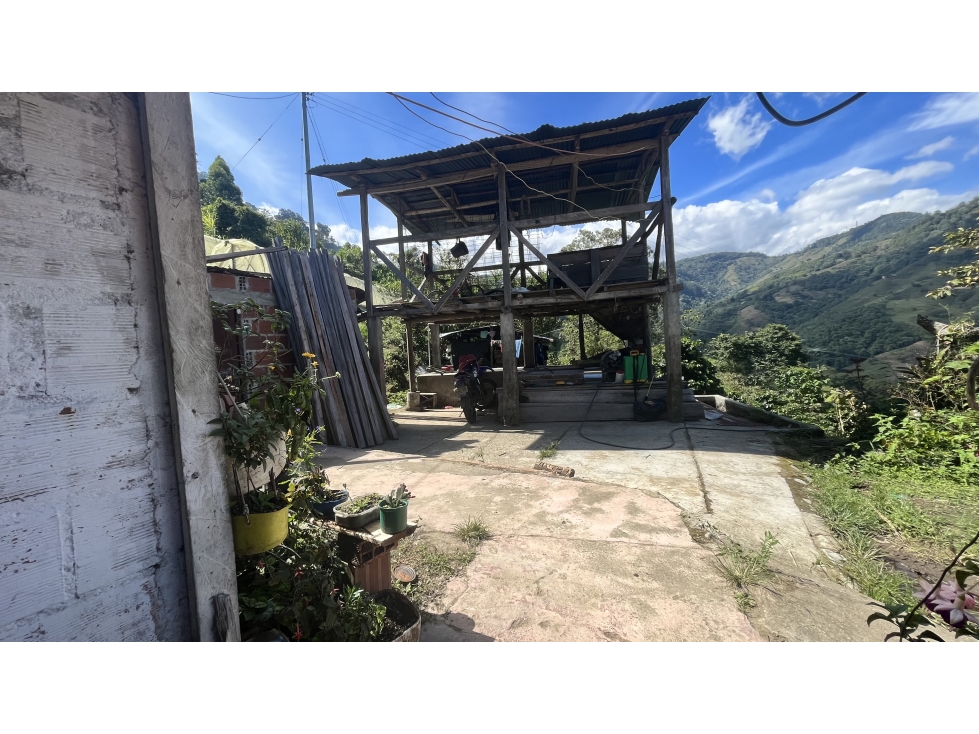 VENTA DE FINCA EN SALENTO, QUINDÍO, COLOMBIA - 3