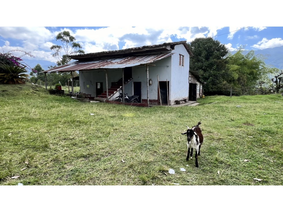 VENTA DE FINCA EN SALENTO, QUINDÍO, COLOMBIA - 2