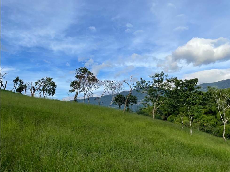 VENTA DE LOTE CAMPESTRE EN CALARCÁ, QUINDÍO, COLOMBIA - 4