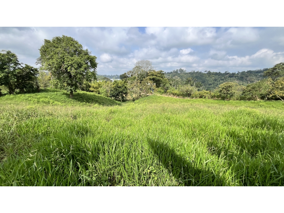 VENTA DE FINCA EN CIRCASIA, QUINDÍO, COLOMBIA — foto 4
