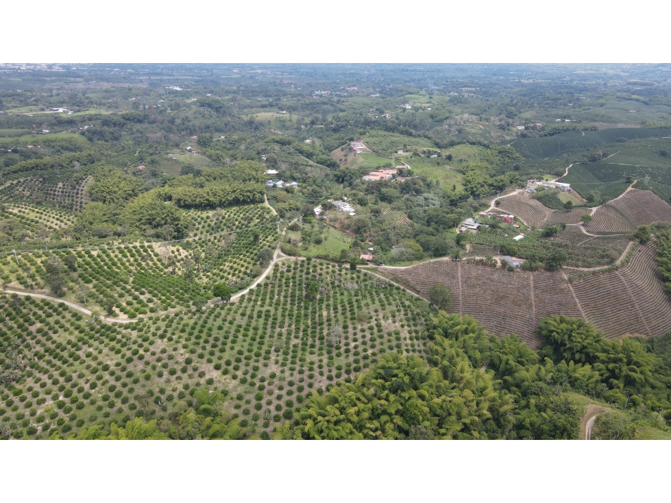 VENTA DE LOTE EN MONTENEGRO, QUINDÍO, COLOMBIA - 4