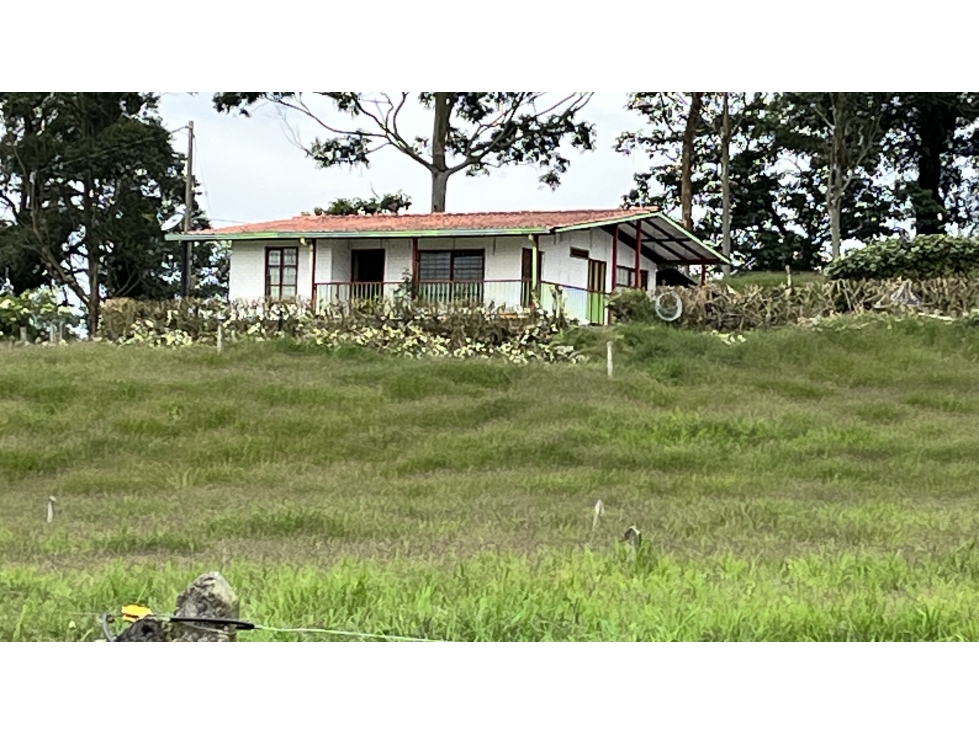 VENTA DE FINCA EN FILANDIA, QUINDÍO, COLOMBIA - 2