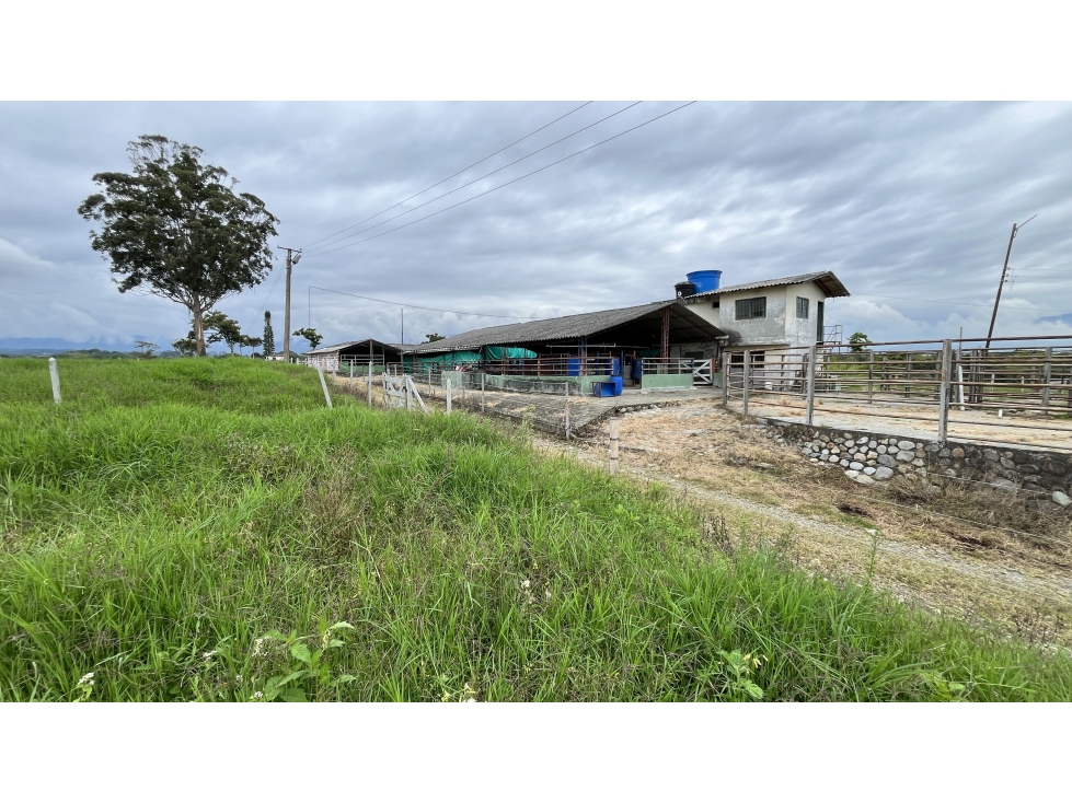 VENTA DE FINCA EN CIRCASIA, QUINDÍO, COLOMBIA — foto 4