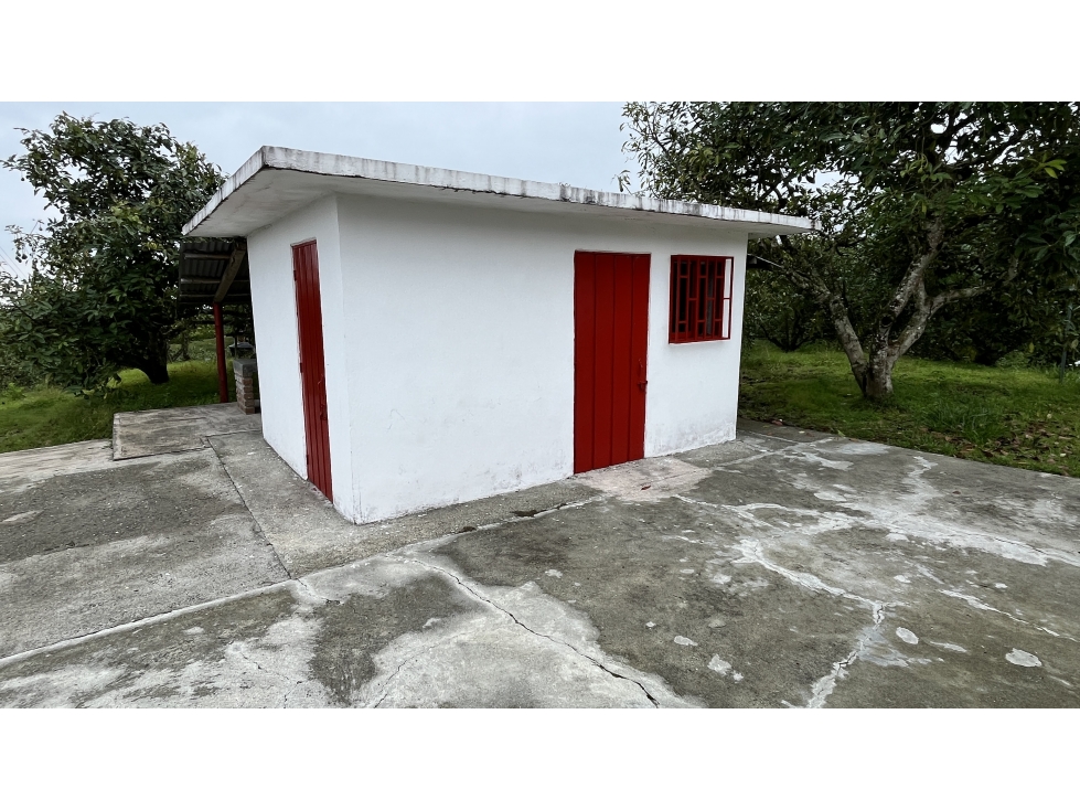 VENTA DE FINCA EN ALCALÁ, VALLE, COLOMBIA - 5