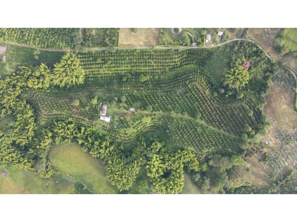 VENTA DE FINCA EN ARMENIA, QUINDÍO, COLOMBIA — foto 2