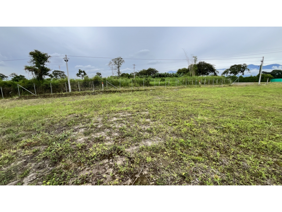 VENTA DE LOTES EN ARMENIA, QUINDÍO, COLOMBIA — foto 4