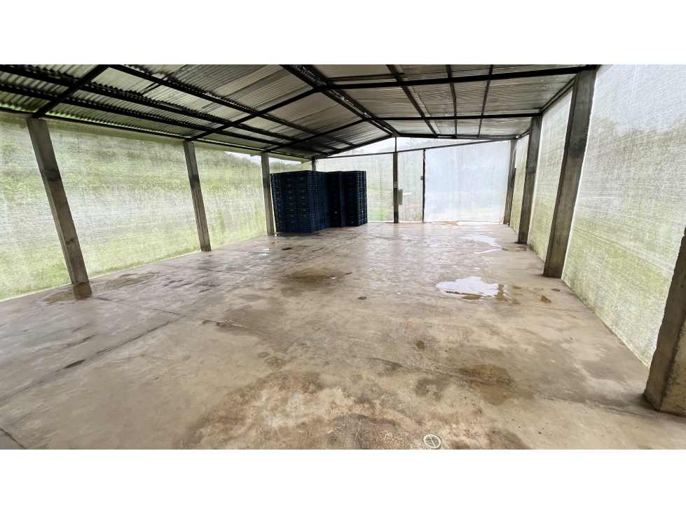 SE VENDE FINCA EN CARTAGO, VALLE, COLOMBIA — foto 3