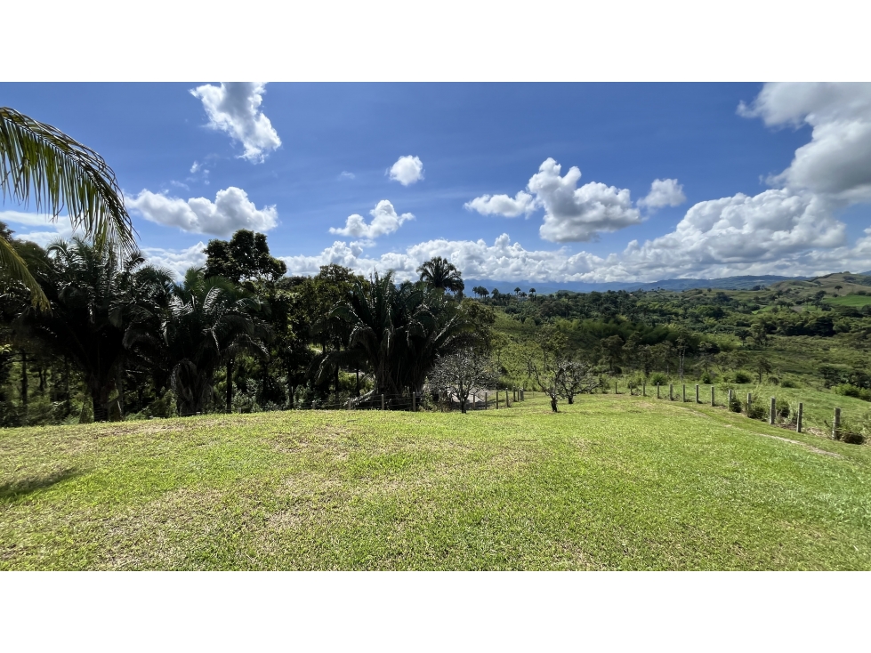 VENTA DE FINCA EN CAICEDONIA, VALLE, COLOMBIA - 6