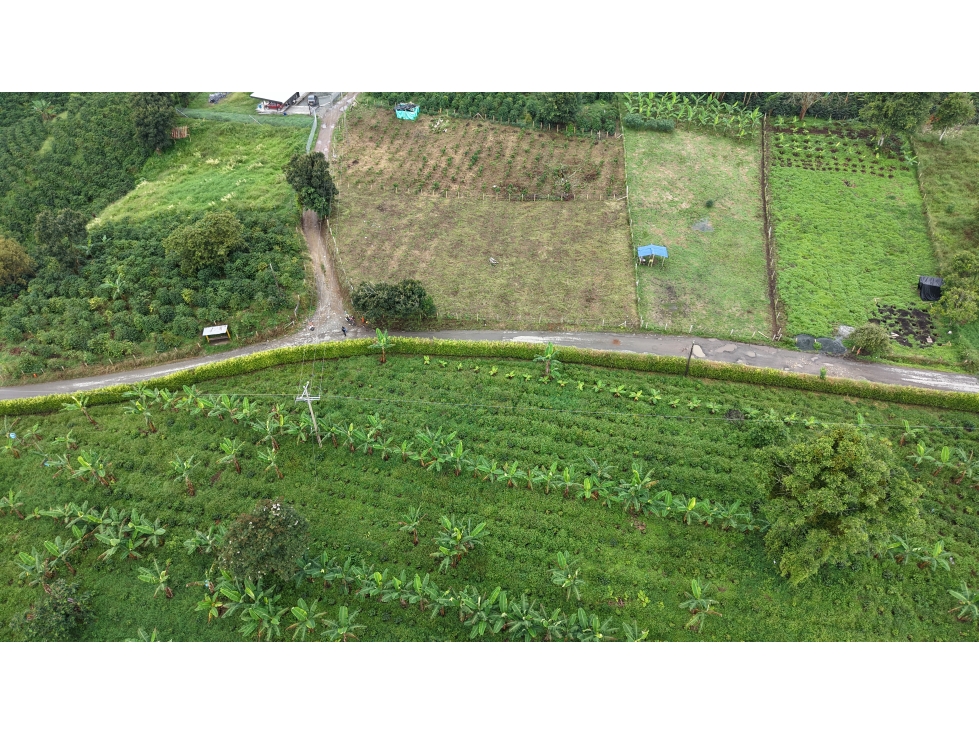 VENTA DE LOTE EN QUIMBAYA, QUINDÍO, COLOMBIA - 2