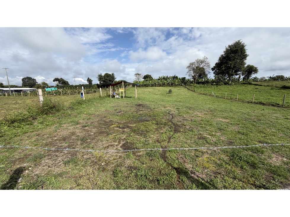 VENTA DE LOTE EN QUIMBAYA, QUINDÍO, COLOMBIA - 2
